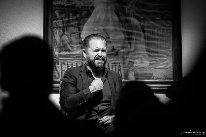 Flamenco Show in Seville at Bar and Tapas - Booking, cancellation, and small practical details