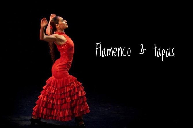 Flamenco Show & Tapas Small Group Tour in Seville - Who should book this Seville evening?