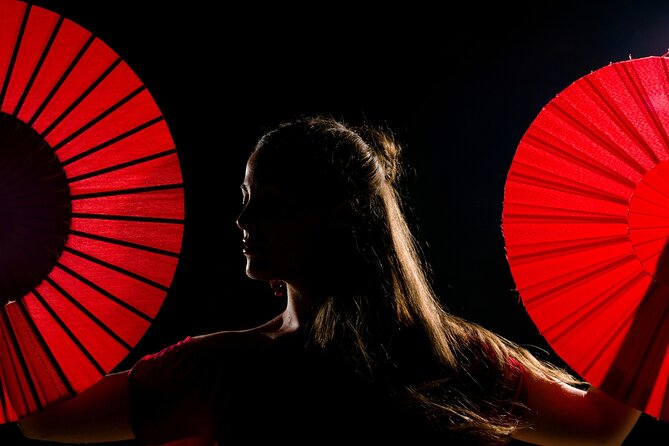 Flamenco show & tasting Tapas with panoramic views in Madrid - Why this Madrid evening works