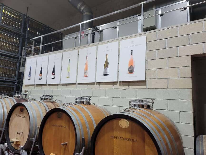 From Alicante: Winery Tour and Wine Tasting with Tapas - Inside the winery’s production rooms