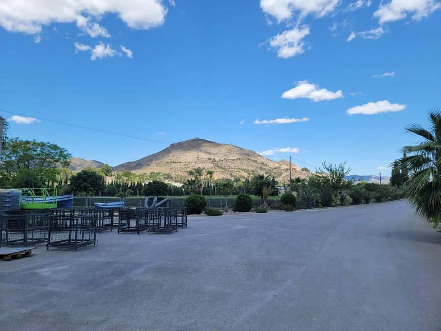 From Alicante: Winery Tour and Wine Tasting with Tapas - What to expect from the small-group format