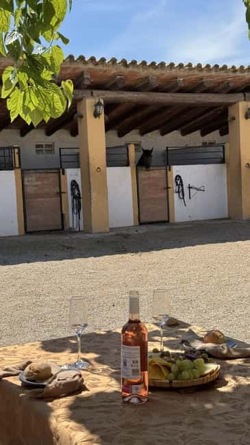 From Barcelona: PRIVATE Horseback Ride + Tapas + Picnic - Why Penedès makes a good half-day escape