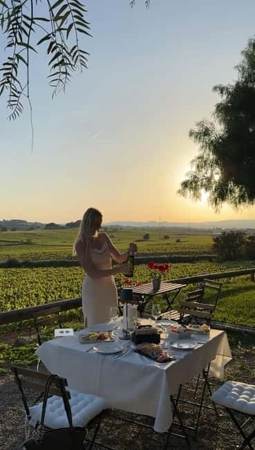 From Barcelona: PRIVATE Horseback Ride + Tapas + Picnic - What the $347 price really buys
