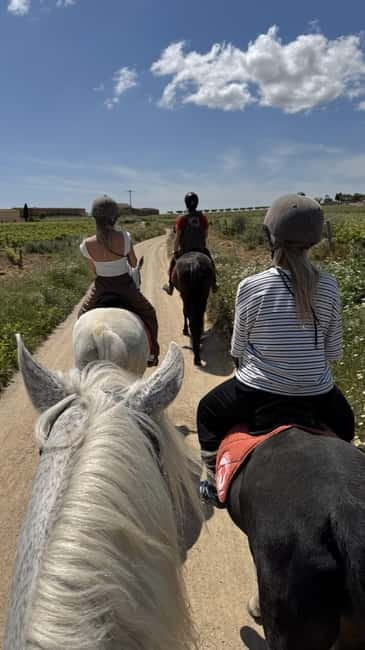 From Barcelona: PRIVATE Horseback Ride + Tapas + Picnic - Who will enjoy this outing most