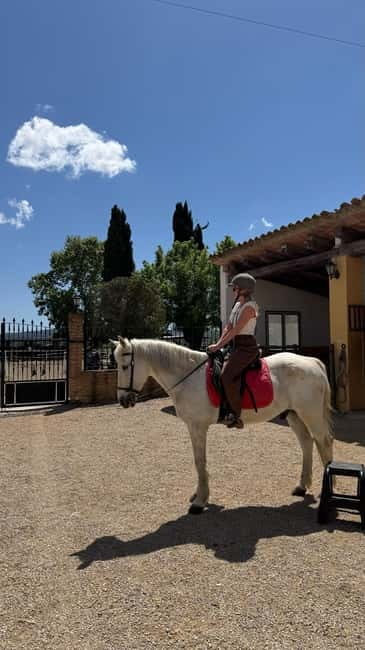 From Barcelona: PRIVATE Horseback Ride + Tapas + Picnic - Should you book the Penedès horseback ride?