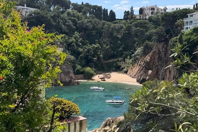 From Barcelona: Wine Tasting & Tapas + MARIMURTRA Garden + Blanes - Is $313.21 Per Person Good Value?