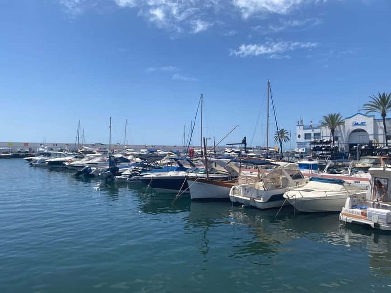From Estepona, Mijas, Marbella: Marbella Private Tour with Transport, Tapas, and Drinks - Why this private Marbella tour works
