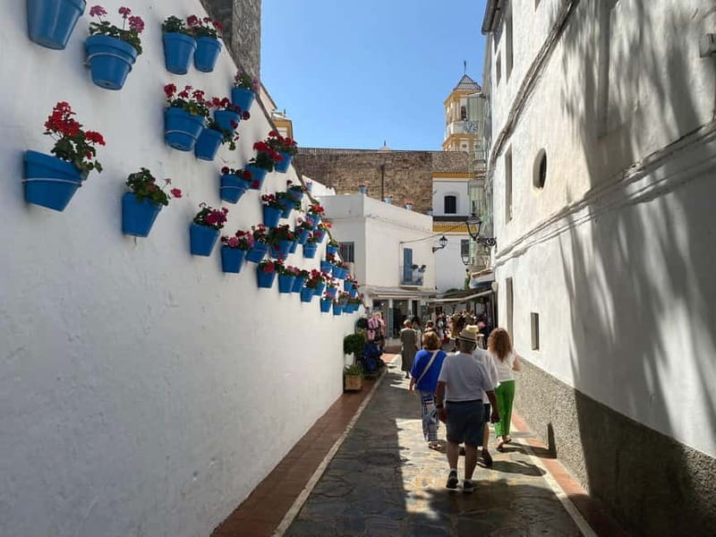 From Estepona, Mijas, Marbella: Marbella Private Tour with Transport, Tapas, and Drinks - Is $126 per person a fair price?