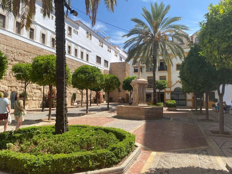 From Estepona, Mijas, Marbella: Marbella Private Tour with Transport, Tapas, and Drinks - Who should book this four-hour outing?