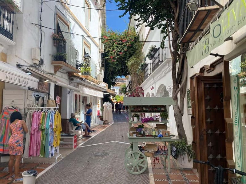 From Estepona, Mijas, Marbella: Marbella Private Tour with Transport, Tapas, and Drinks - Practical details before you reserve