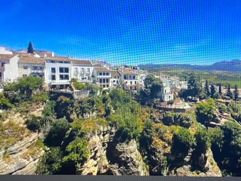 From Estepona: Ronda, private transport, cafe, bullring, tapas, drinks - Who should book this Ronda experience?