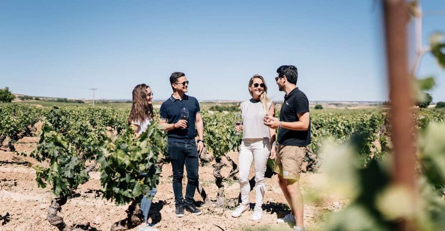 From Madrid: Traditional Villages, Winery Tour & Tapas Lunch - Key points at a glance