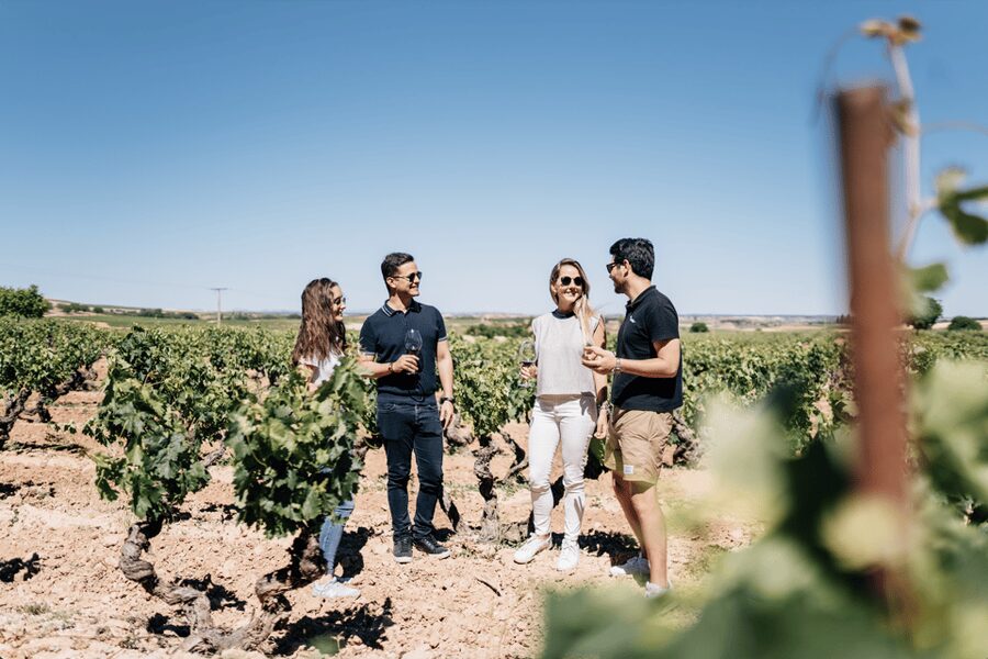 From Madrid: Traditional Villages, Winery Tour & Tapas Lunch - Why this day works beyond Madrid’s center