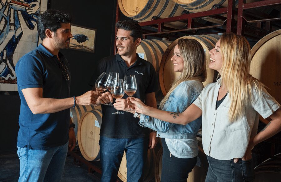 From Madrid: Traditional Villages, Winery Tour & Tapas Lunch - Wine paired with a real tapas lunch