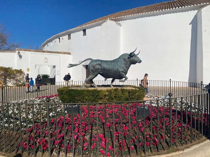 From Marbella: Ronda, private transport, cafe, bullring, tapas, drinks - Inside one of Spain’s oldest bullrings