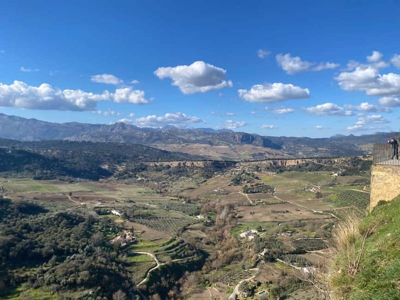 From Marbella: Ronda, private transport, cafe, bullring, tapas, drinks - Tapas, regional wine, and a useful pause