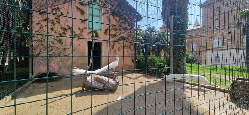 From Salou: Park Samá with 1 vermouth tasting, hotel Pickup - Animals, birds, and family-friendly corners