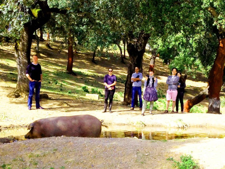 From Seville: Iberian Ham Full-Day Tour to Aracena - Is $364 a fair price?