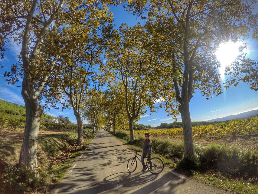 From Sitges: Paella Masterclass, Bike Ride and Winery Visit - Learning paella from a family recipe