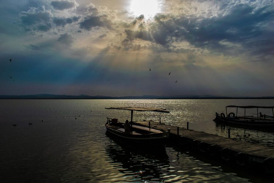 From Valencia: Albufera Boat Ride, Sunset & Paella Included - Key points to know