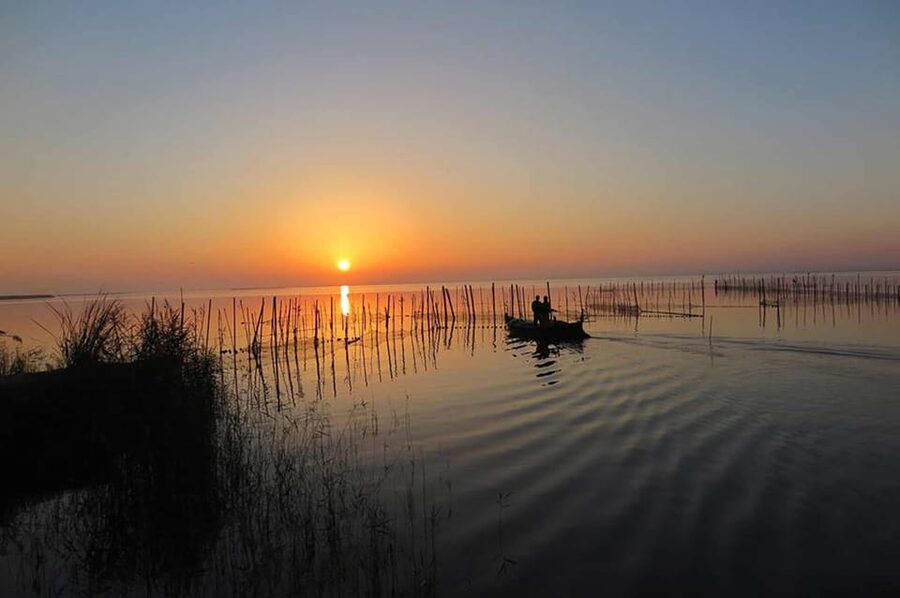 From Valencia: Albufera Boat Ride, Sunset & Paella Included - The Albufera boat ride and birdlife