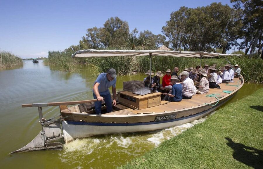 From Valencia: Albufera Boat Ride, Sunset & Paella Included - Choosing morning or sunset