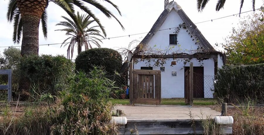 From Valencia: Albufera Boat Ride, Sunset & Paella Included - Practical ways to get more from the four hours