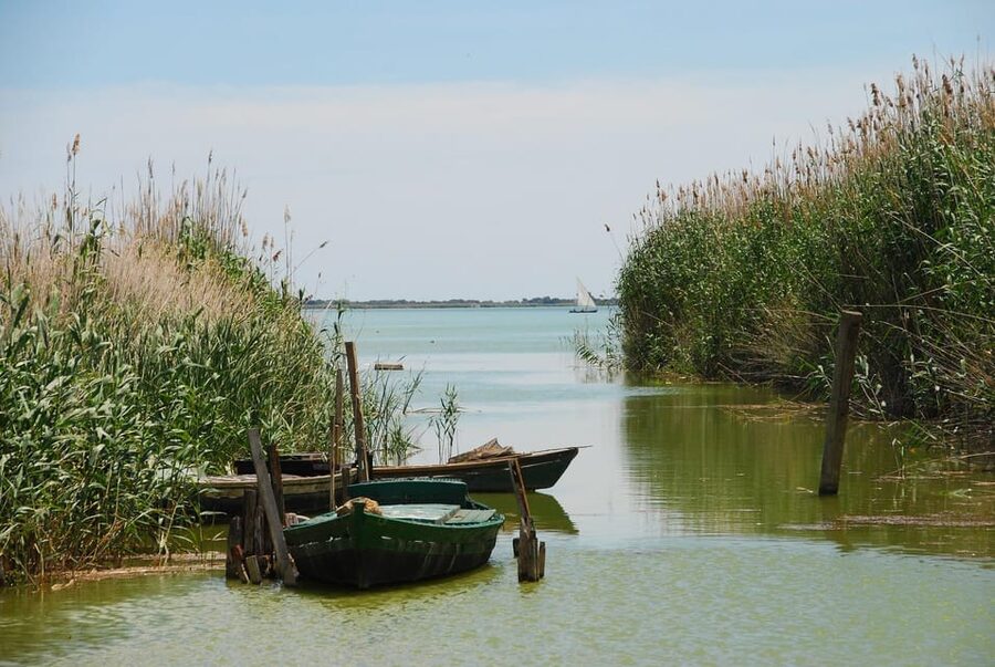 From Valencia: Albufera Boat Ride, Sunset & Paella Included - Leaving Valencia from El Saler shopping centre