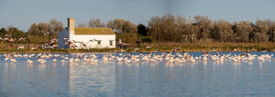 From Valencia: Albufera Private Tour, Paella & Boat Ride - Should you book the Albufera private tour?