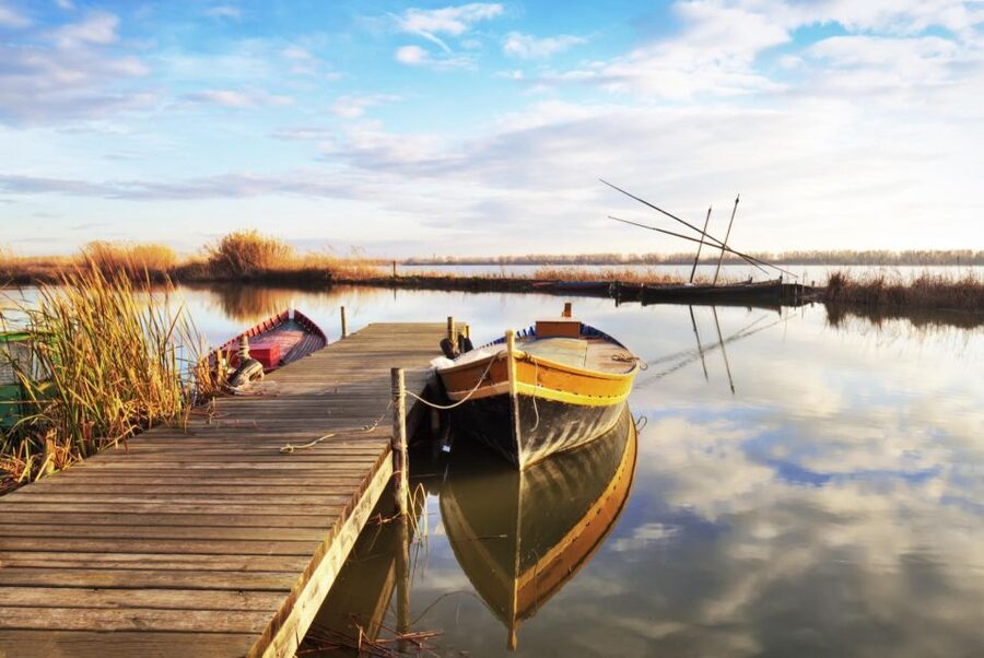 From Valencia: Albufera Private Tour, Paella & Boat Ride - Birdwatching at the Tancat de Mília tower
