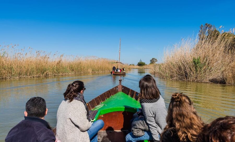 From Valencia: Albufera Private Tour, Paella & Boat Ride - A one-hour boat ride across Albufera