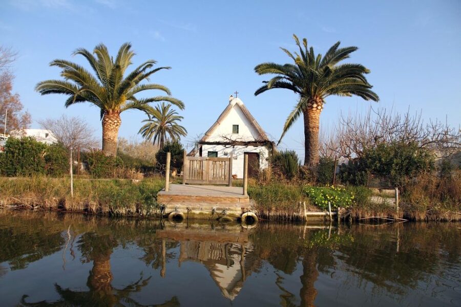 From Valencia: Albufera Private Tour, Paella & Boat Ride - Transportation, timing, and comfort