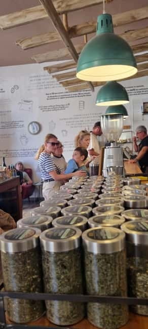 Fuerteventura North with Tapas (food) - Practical value at $112 per person