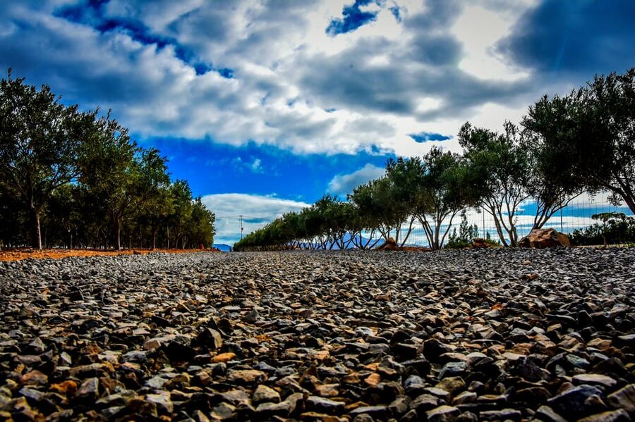 Fuerteventura: Tapas and Local Life Guided Tour - Who will enjoy this most