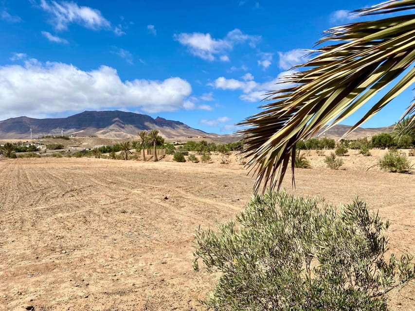 Fuerteventura: Tapas and Local Life Guided Tour - What the five-hour schedule feels like