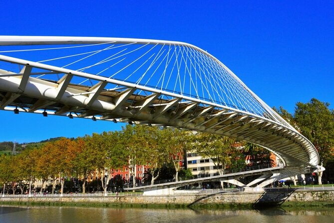 Full-day private Bilbao tour (Guggenheim museum & full pintxo lunch included) - Who will get the most from this tour?