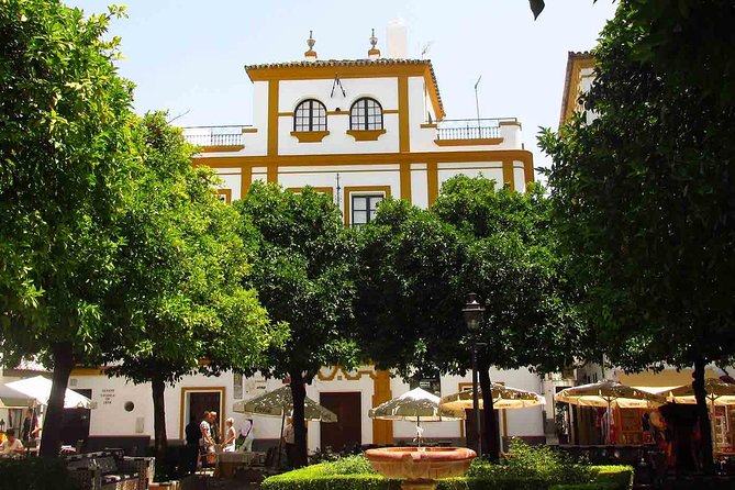 Full Day Seville Tour with tickets (optional Tapas & Flamenco) - Plaza de España and Maria Luisa Park