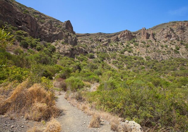 Gran Canaria 7 Highlights Small Group Tour with Tapas Picnic - Seven strong reasons to consider this tour