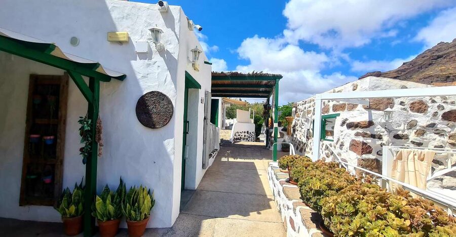 Gran Canaria: Spanish Tapas and Wine Tasting Tour in Mogan - Who will enjoy this most?