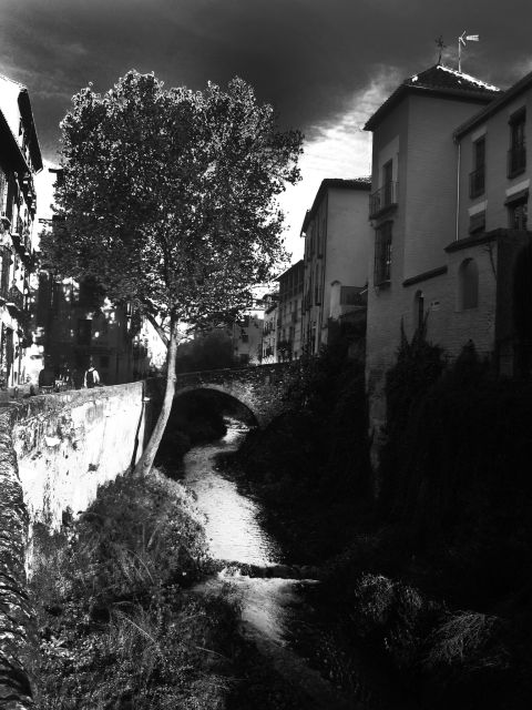 Granada Albaicín: 2.5-Hour Tapas & Drinks Walking Tour - My call: book it for the setting, not just the food