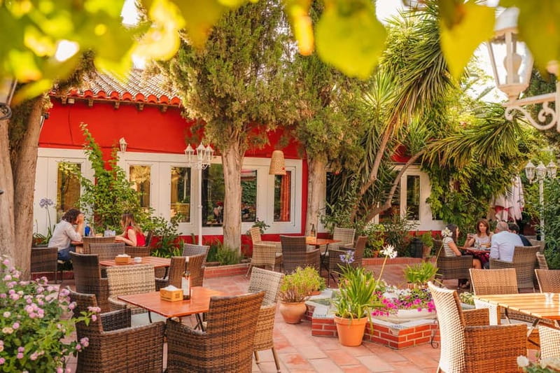 Granada: Dinner with Paella on a Terrace in the Albayzín and Live Flamenco - The flamenco show: five performers, one intense hour