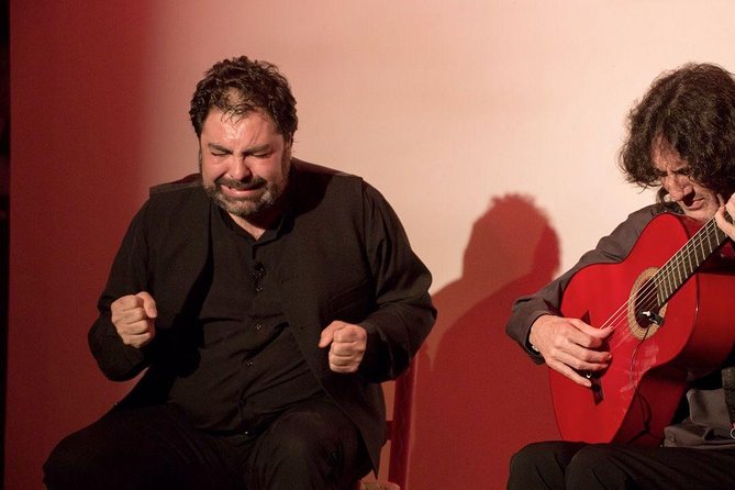 Granada Flamenco & Tapas Tour - Who should book this experience