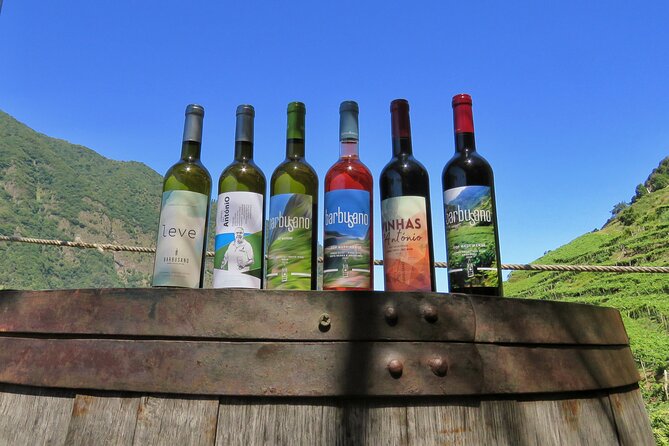 Guided 4x4 Adventure and Skywalk with Wine and Tapas in Madeira - Key points at a glance