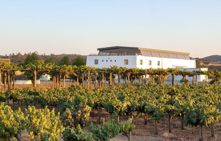Herdade Canal Caveira - Winery Visit 4 Wines & Tapas - Tasting Two Whites and Two Reds
