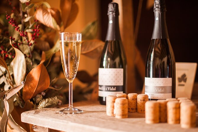 High-End Vineyard Escape: Cava, Tapas & Wine | Private Tour - What the wine tasting really includes