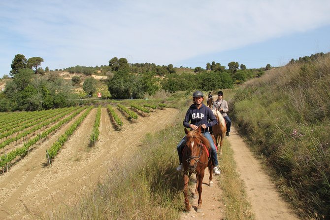 Horseback Ride, Penedes, Wine Tasting & Tapas Private Tour - A vineyard outing with two very different halves