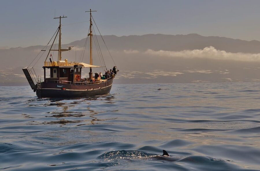La Palma: 4-Hour Coastline Cruise with Tapas and Barbecue - Setting out from Port of Tazacorte