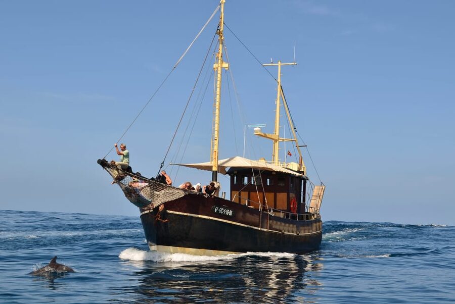 La Palma: 4-Hour Coastline Cruise with Tapas and Barbecue - What the small group changes