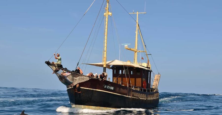 La Palma: 4-Hour Coastline Cruise with Tapas and Barbecue - Should you book this La Palma cruise?