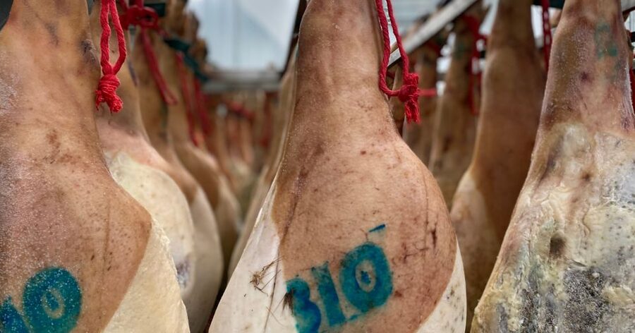 La Rioja: Jamon Iberico Farm Tour and Tasting with Wine - The tasting: Iberian ham, acorn fed ham, and chorizo